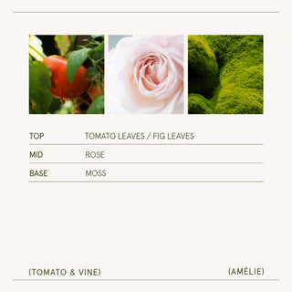 Scented Candle - Tomato & Vine - 11oz | La Jolie Muse
