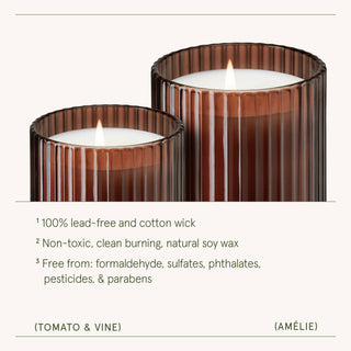 Scented Candle - Tomato & Vine - 19oz | La Jolie Muse