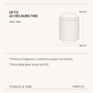 Scented Candle - Tomato & Vine - 11oz | La Jolie Muse