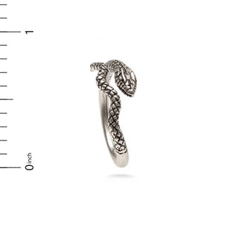 Egyptian Snake Ring - Silver Finish